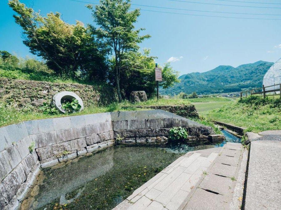 💧 요시다 성 헌상급장 (요시다조 고켄조 쿠미바) 이미지 1